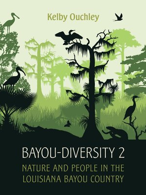 cover image of Bayou-Diversity 2